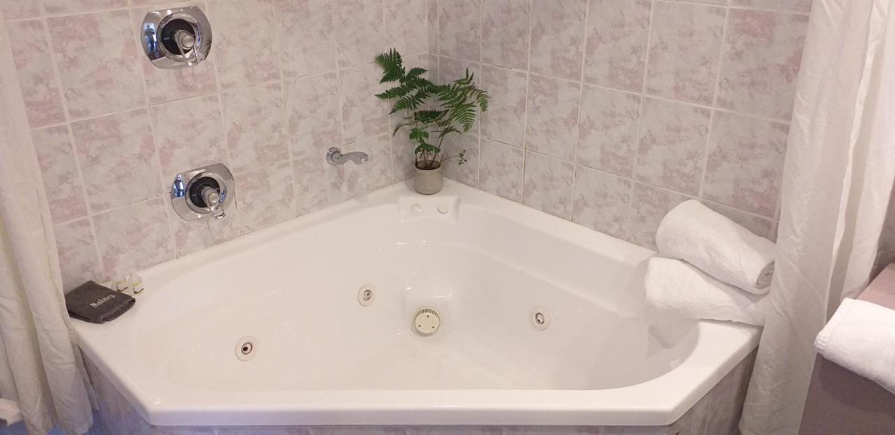 Shadzz Motel Palmerston North Luaran gambar